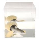 8a47c7a2146a0bdf98b236308e193cdd.png