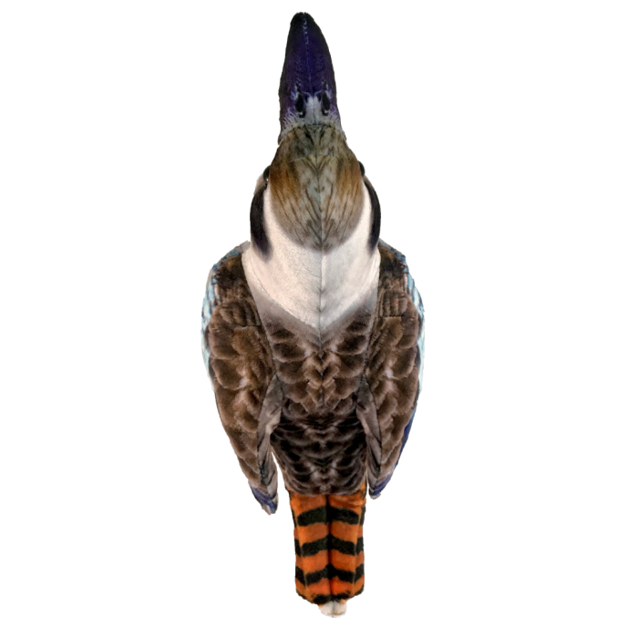 ad40da21d9036ae02dee1f966d8a9772.png