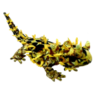 53b36a2083e290335b31c45a71839977.png